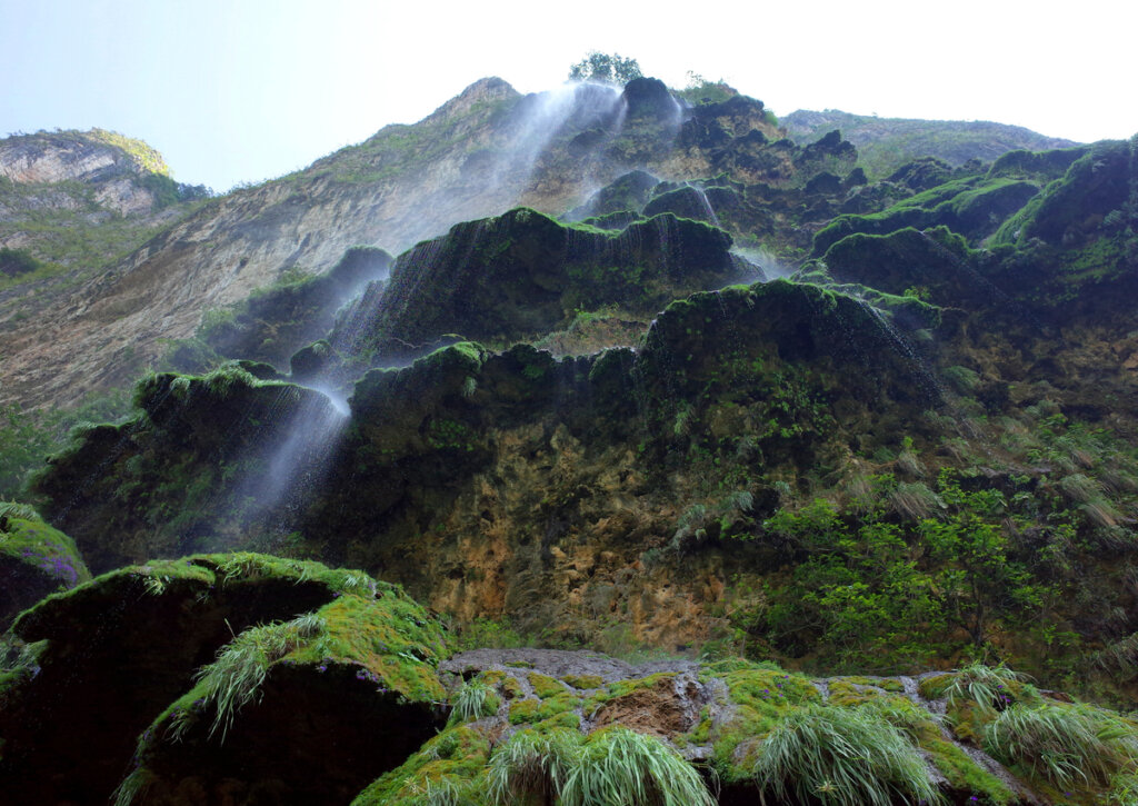 El espectacular Árbol de Navidad es una de las curiosidades del Cañón del Sumidero.