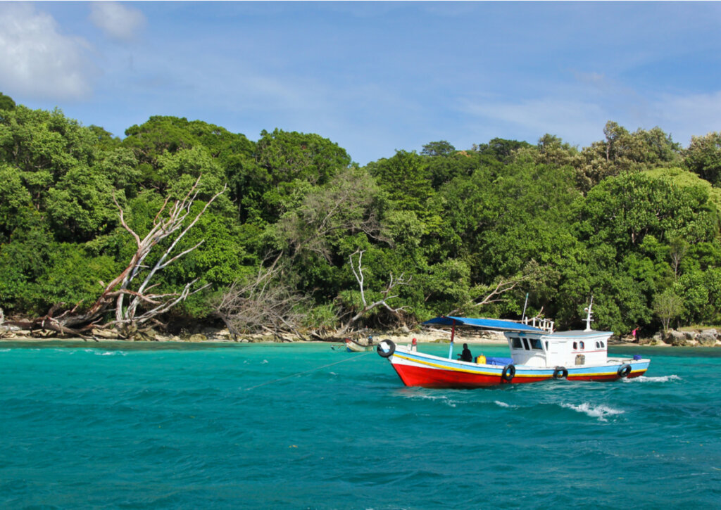 El Parque Nacional Ujung Kulon promueve el turismo sostenible.