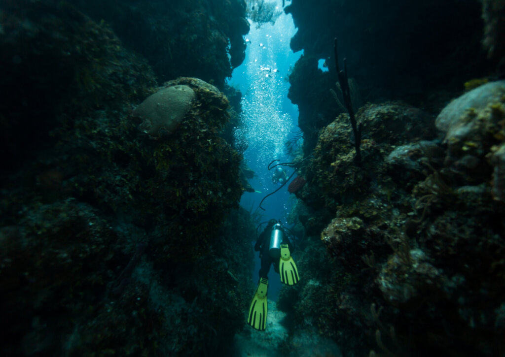 Experto buceando en el gran agujero azul de Belice.