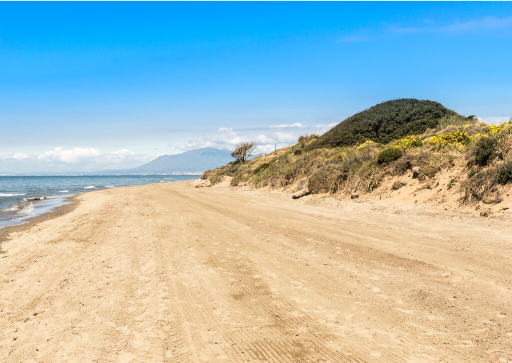 Las dunas de Artola son un símbolo de Marbella.
