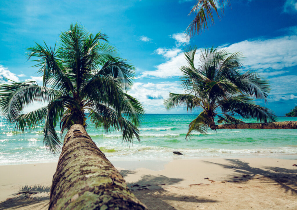 Playa de Koh Kood en Tailandia, otro gran destino para el otoño.