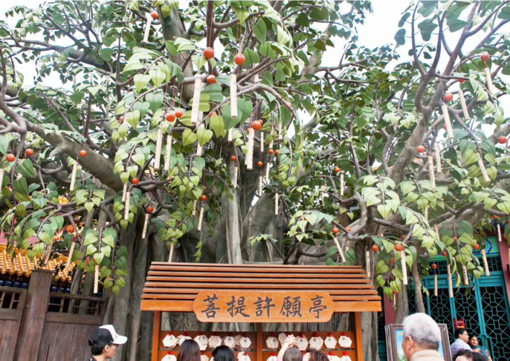 En Ngong Ping, los turistas cuelgan sus carteles de deseos en el gran Bodhi.