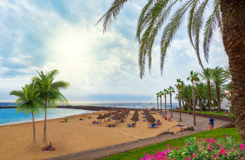 Gracias a su clima, Tenerife es también uno de los mejores lugares para visitar en invierno.