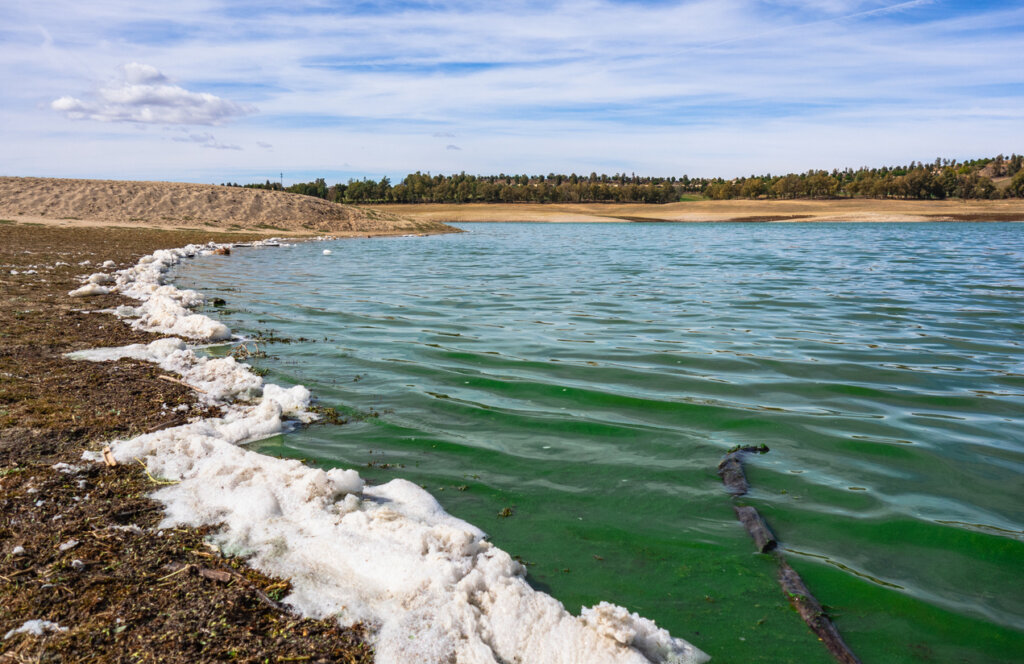 Contaminación visible en la costa de la isla de Valdecañas.