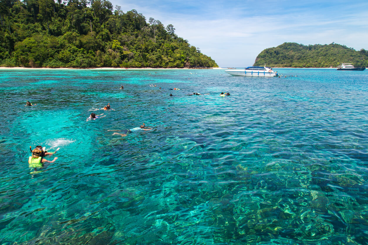 Turistas realizando snorkel en la isla de Koh Tao