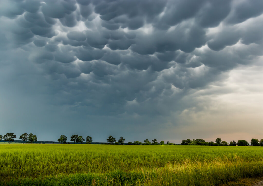 Las nubes mammatus se dan junto con fenómenos peligrosos.