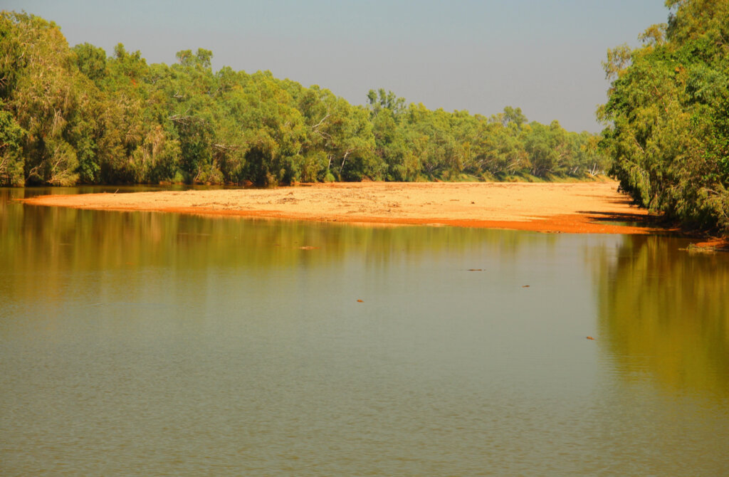 En los lagos del Parque Nacional Windjana Gorge habitan cocodrilos.