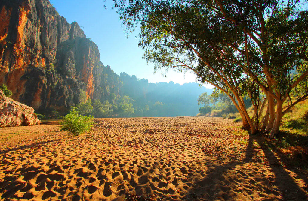 El Parque Nacional Windjana Gorge se caracteriza por su flora y fauna.