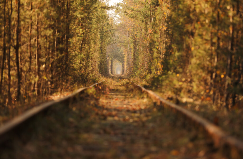 El túnel del amor en Klevan cambia de color según la estación.