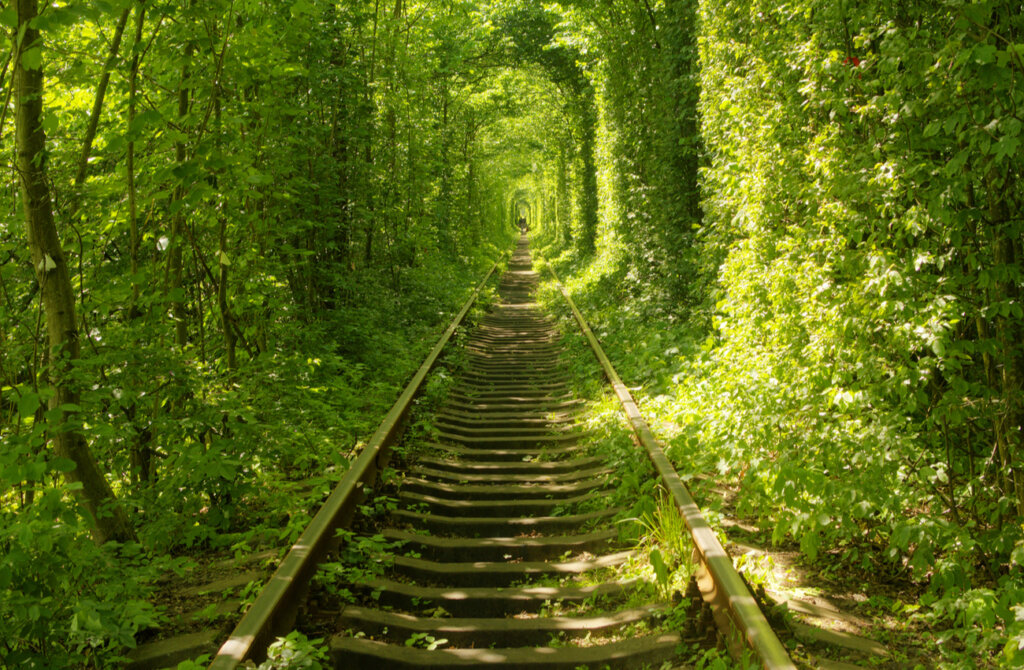 El túnel del amor en Klevan tiene una historia muy curiosa de fondo.