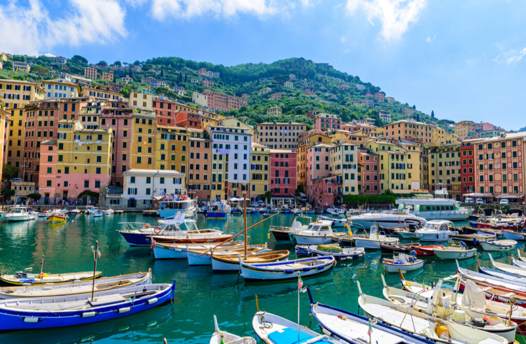 Multitud de veleros blancos en la costa de Camogli.