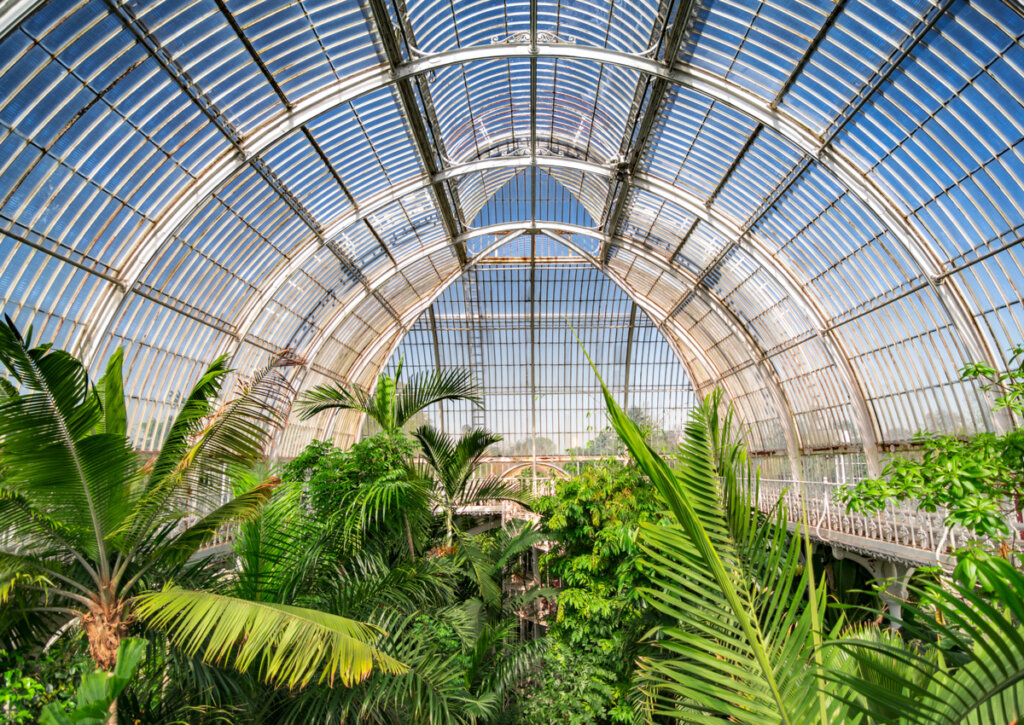La Casa de la Palmera posee plantas traídas por exploradores.