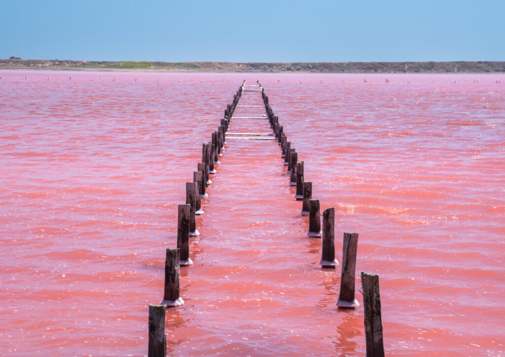 El mar rosa de Galerazamba es uno de los principales atractivos de esta ciudad.