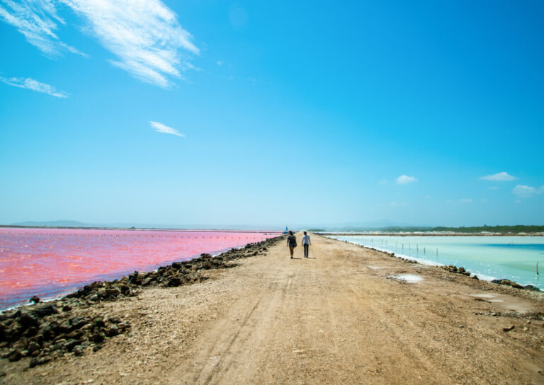 Mar rosado, una joya en Galerazamba