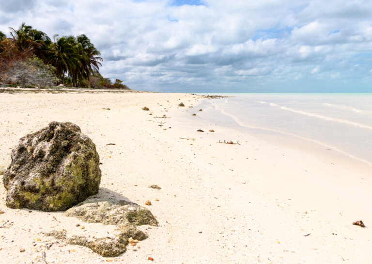 Playas de Campeche: todo un paraíso
