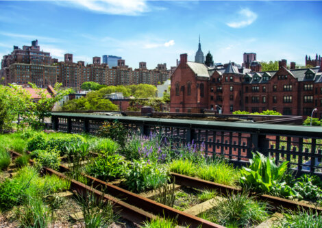 El recorrido histórico de High Line fue conservado al construir el parque.