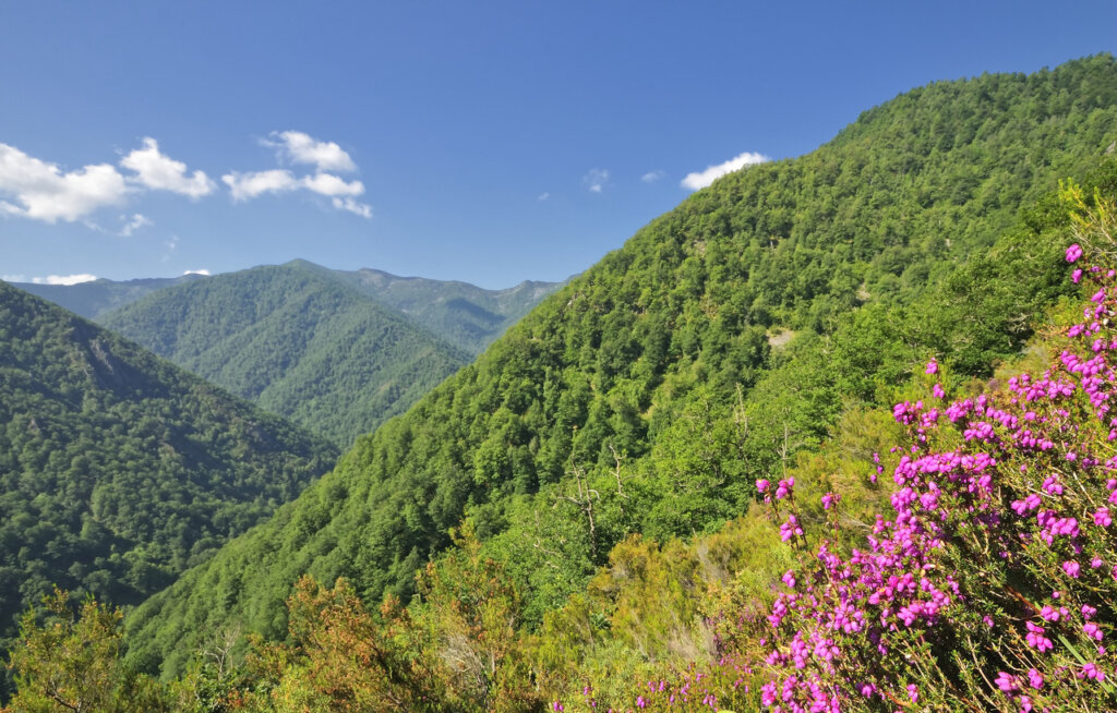 Los 6 parques naturales de España que debes visitar