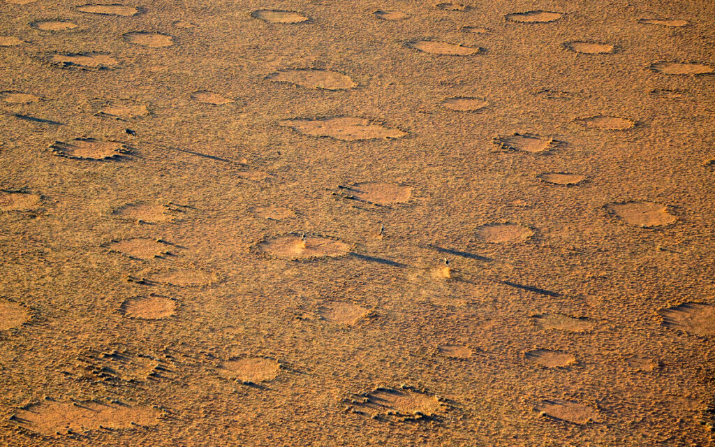 Los círculos de hadas de Namibia no han tenido explicación por mucho tiempo.