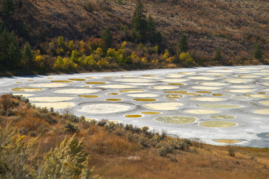 El lago manchado se ubica en Columbia, Canadá.