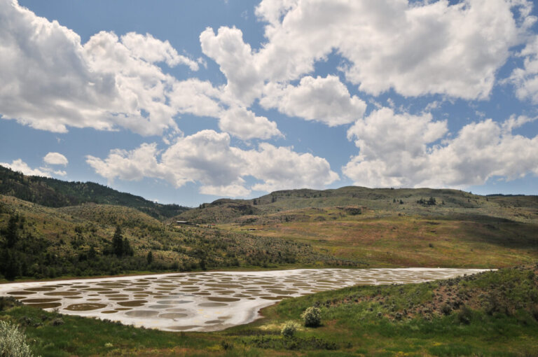 Lago manchado en Columbia Británica, un mosaico natural