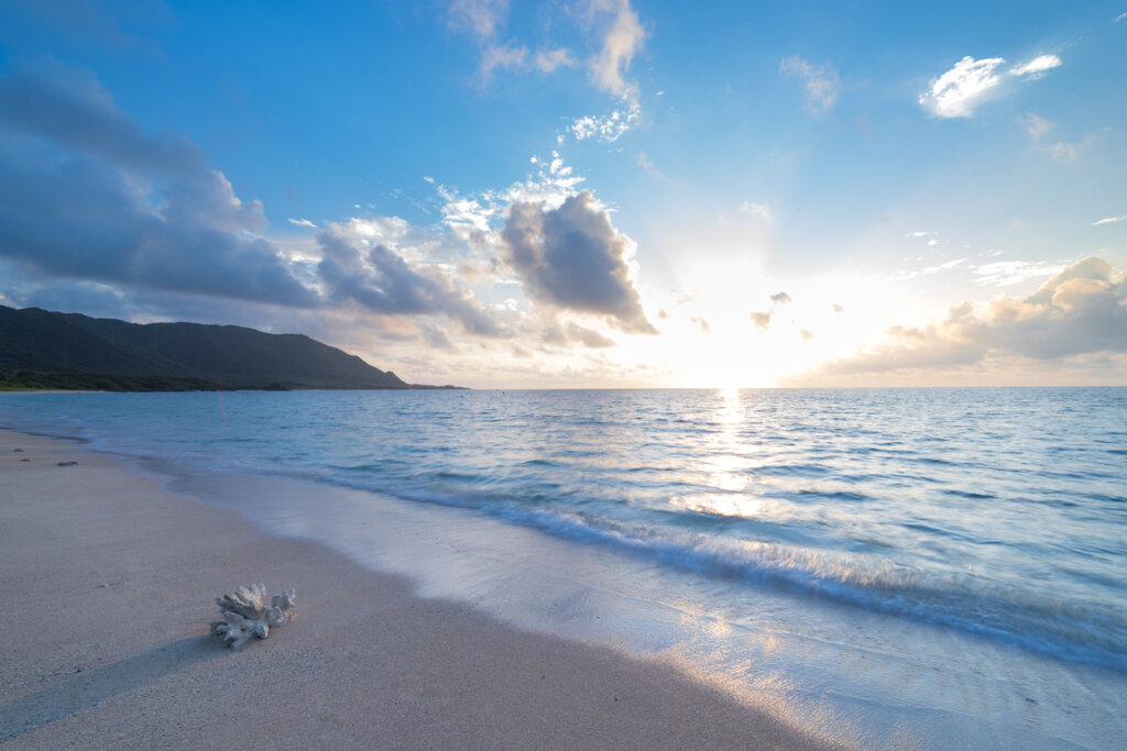 Hay teorías que afirman que el continente de Mu está sumergido en el océano Pacífico.