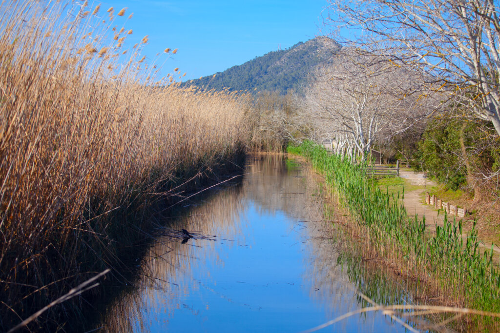 El de S'albufera es uno de los mejores parques naturales para conocer en España.