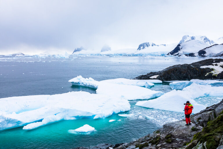6 curiosidades sobre la Antártida