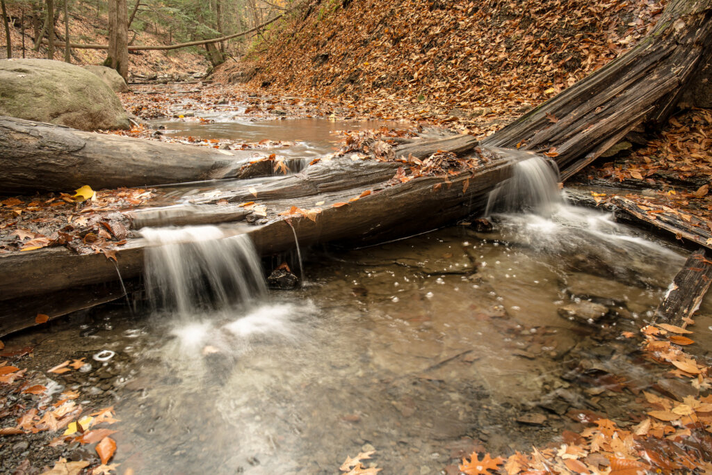La cascada de la llama eterna se encuentra en el Chestnut Ridge Park.