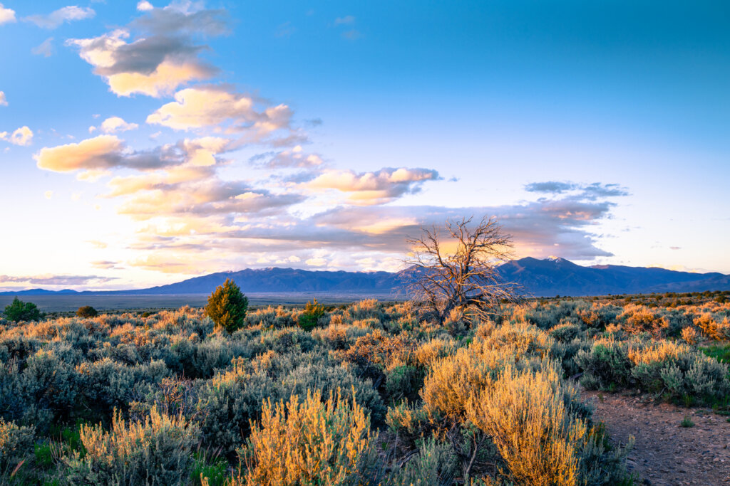 Muchos afirman que el zumbido de Taos proviene del desierto.