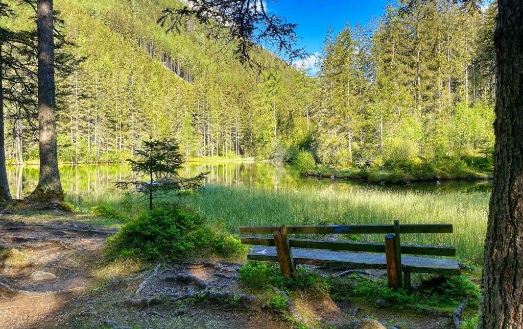 El agua ya derretida cambia el paisaje en el Lago Verde de Austria.