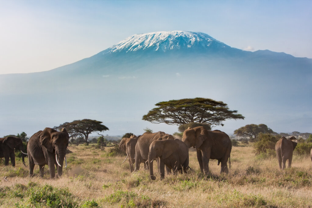 El Kilimanjaro es uno de los volcanes más impresionantes del mundo.