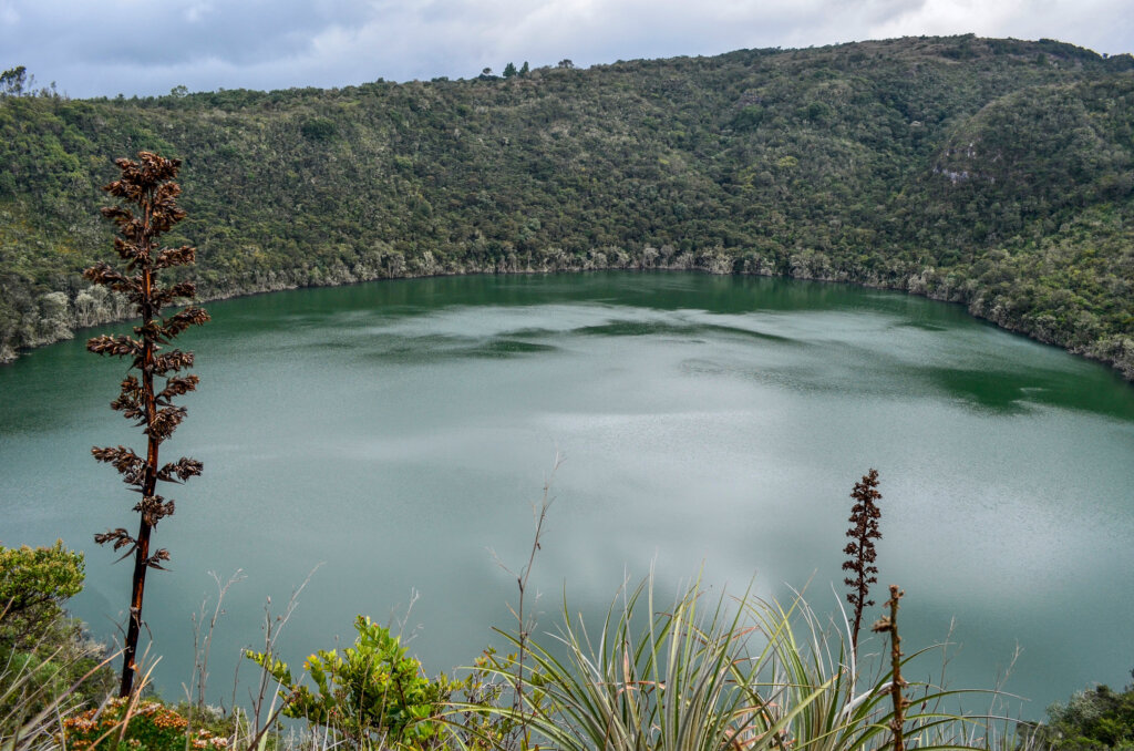 El ritual de la leyenda de El dorado