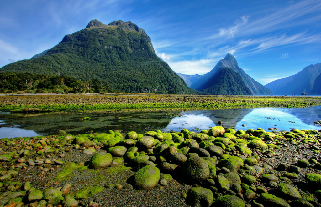 ¿Estás planeando viajar a Nueva Zelanda?
