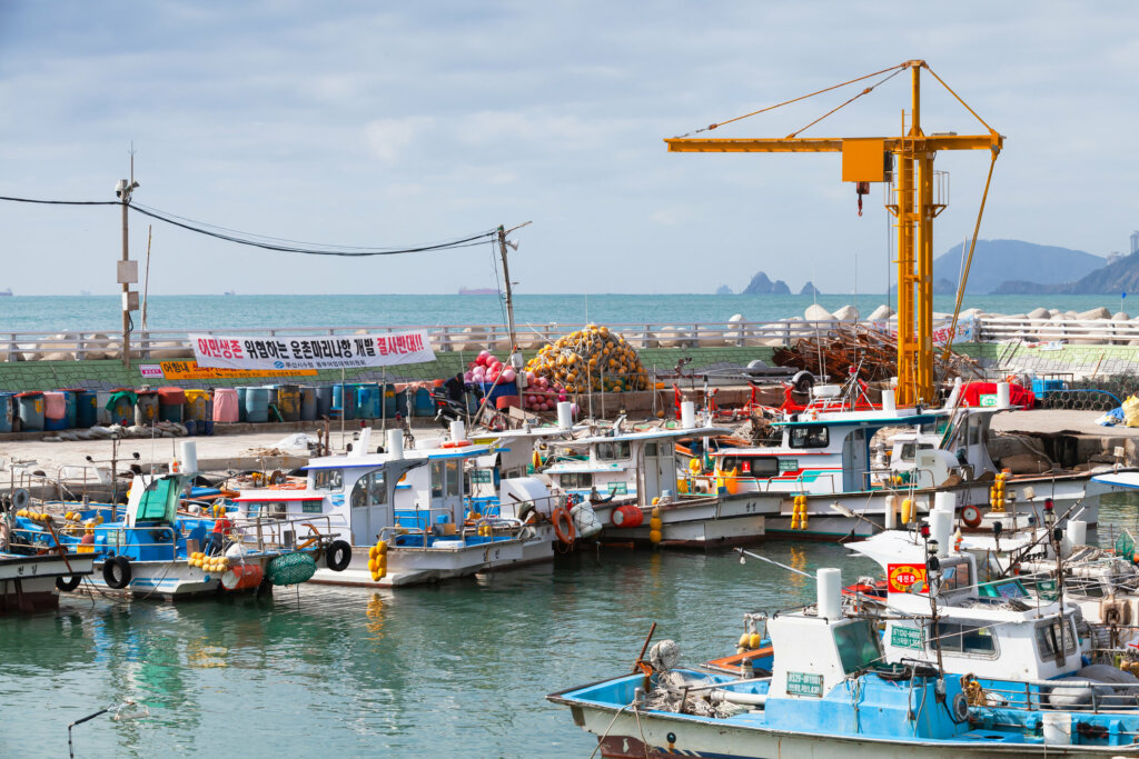 Sobre Busan y sus atractivos turísticos