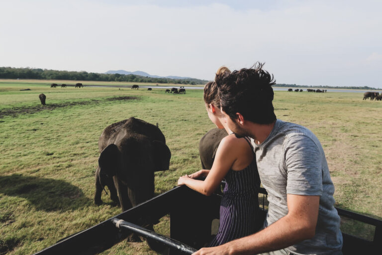 10 consejos para vivir una experiencia safari en África