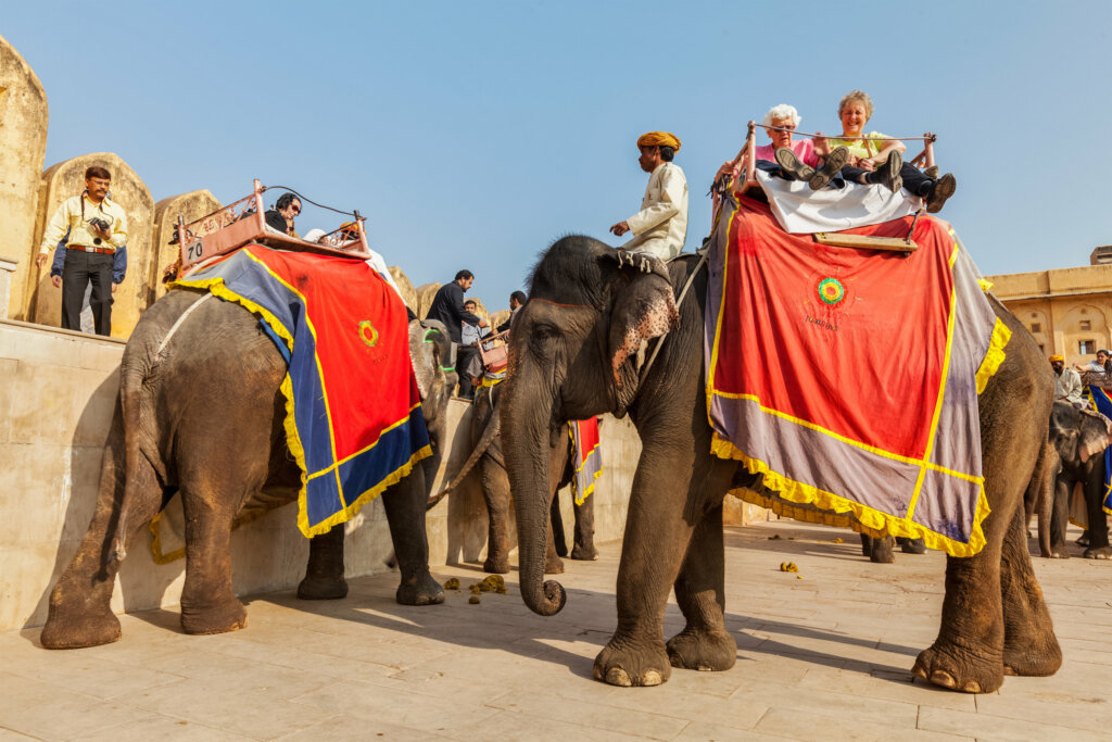 Medios de transporte en el mundo: elefantes o dromedarios