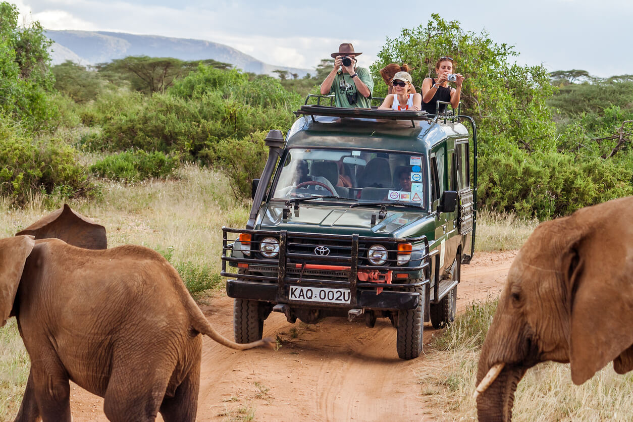 Turistas haciendo un safari