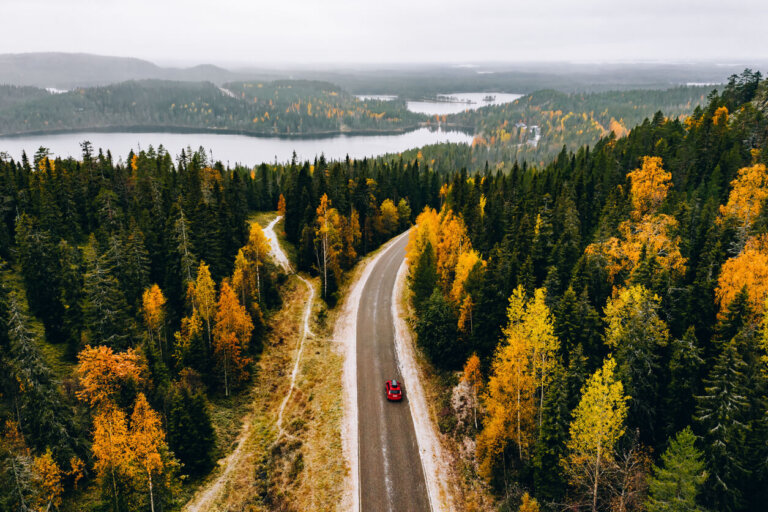 Vehículo en carretera en medio del bosque de Finlandia