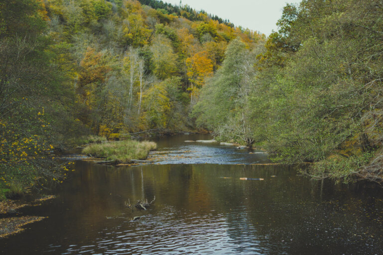 Río Ourthe Bélgica