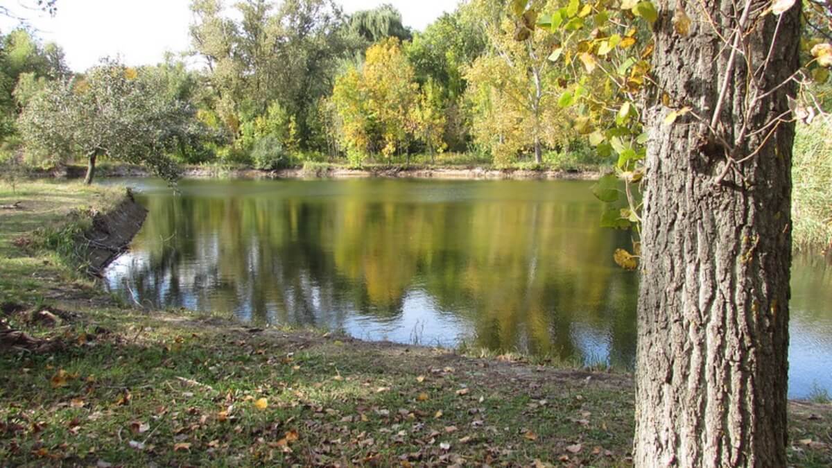 Un lago en el jardín botánico de Chisináu, Moldavia. 